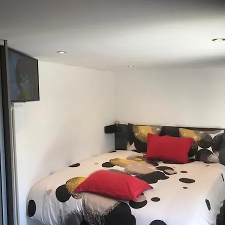 Apartment Majorelle Groupama Lyon *